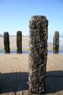 A pillar at the sea