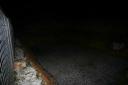 Nacht und Schnee